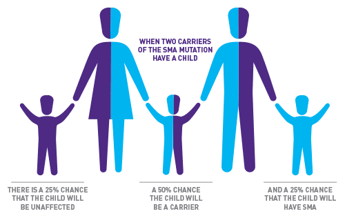 Carrier-SMA_Graphic Graphic explaning carriers of spinal muscular atrophy.