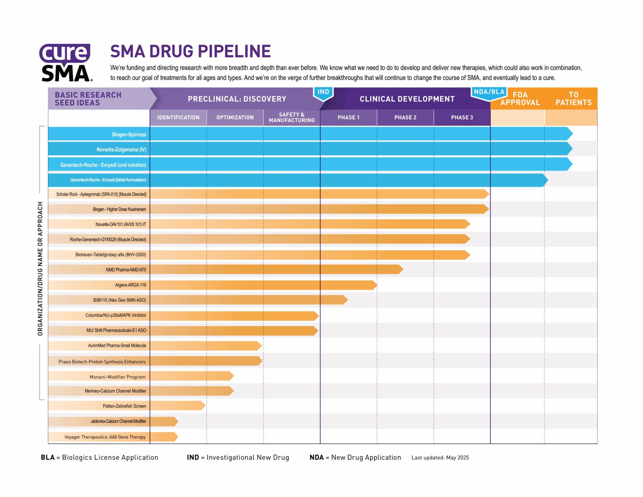SMA Drug Pipeline