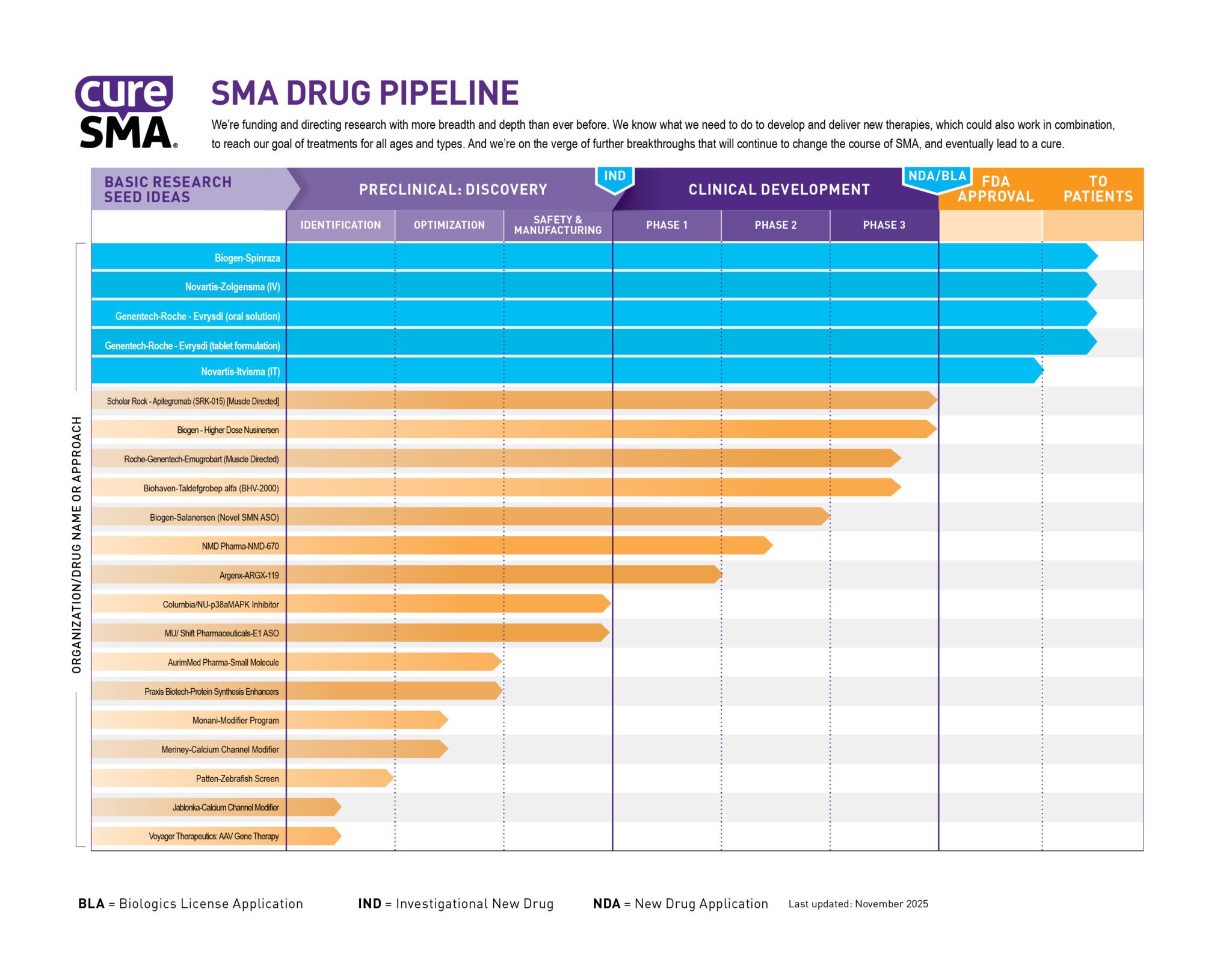 SMA Drug Pipeline